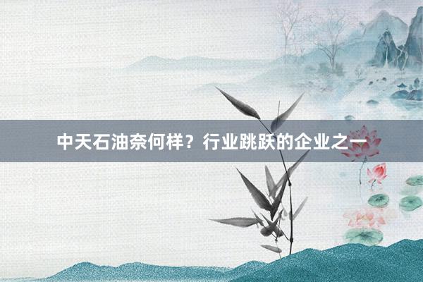 中天石油奈何样？行业跳跃的企业之一